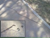 Егор Ролдугин фотография #6 (источник - https://vk.com/id6002126)