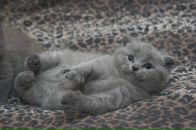 Фотография Урицкой Татьяны