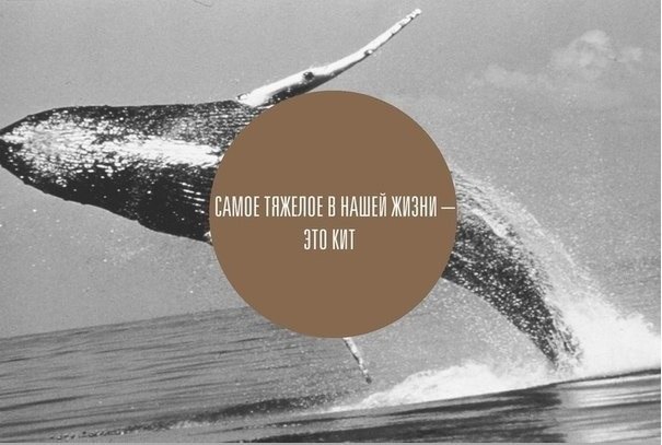 Витэк Бондарь фотография #20