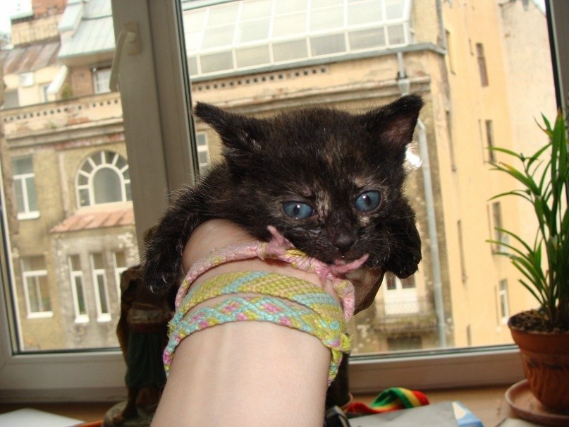 Дмитрий Паршиков фотография #18