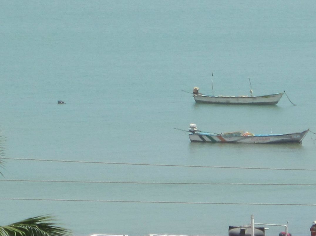 Rust Rust фотография #3