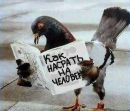 Діма Пасічний фотография #24 (источник - https://vk.com/id159224675)