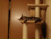 Фотография Тумановой Марии