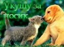 Сашко Сергіїна фотография #8 (источник - https://vk.com/id154828212)