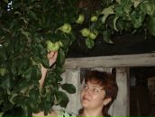 Фотография Плотниковой Светланы