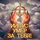 Фотография Кущенко Виктории