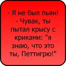 Ірина Кирилюк(синицька) фотография #12 (источник - https://vk.com/id138889467)