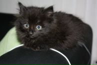 Фотография Драгунова Ивана