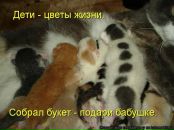 Надежда Хан фотография #19 (источник - https://vk.com/id139073)