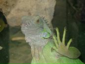 Фотография Семушиной Юлии