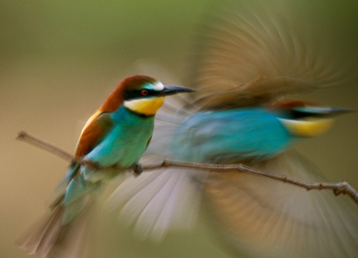 Дмитрий Лаптев фотография #1