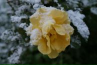 Фотография Железновой Юлии