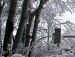 Іван Батяла фотография #45 (источник - https://vk.com/id131928285)