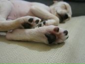 Uvb_ Msk фотография #21 (источник - https://vk.com/id141004248)