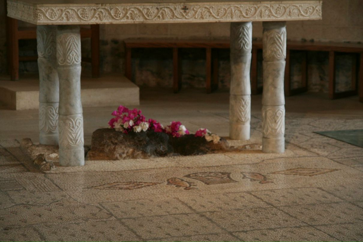 Дарья Климова фотография #7