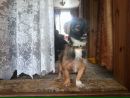 Вітя Візенгер фотография #41 (источник - https://vk.com/id75551174)