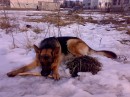 Назар Болібрух фотография #21 (источник - https://vk.com/id19097186)