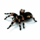 Ігор Дрига фотография #41 (источник - https://vk.com/id150972182)