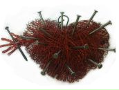 Фотография Гребенюка Тараса