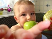 Фотография Гаврилова Александра