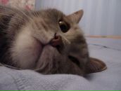 Фотография Пановой Анастасии