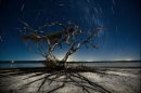 Boris Segeda фотография #39 (источник - https://vk.com/id80077)