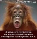 Сергій Гайдеєв фотография #5 (источник - https://vk.com/id63450867)