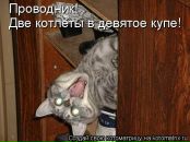 Иришка Венцова фотография #6 (источник - https://vk.com/id4664078)