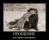 Фотография Парахневича Артема