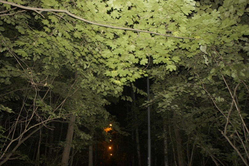 Артем Симаков фотография #48