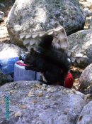 Никита Башмаков фотография #9 (источник - https://vk.com/id2182170)