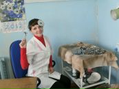 Віта Онуфрейчук фотография #35 (источник - https://vk.com/id111607556)