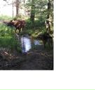 Фотография Ганчица Виктора