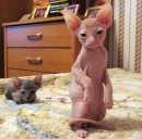 Фотография Саенко Татьяны