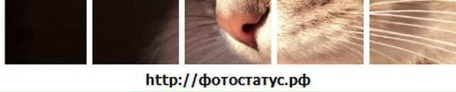 Любця Жилінка фотография #16 (источник - https://vk.com/id39414281)