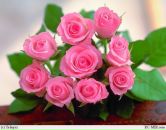 Фотография Советников Евгений