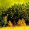 Анатолій Солим фотография #3 (источник - https://vk.com/id164967950)