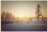 Фотография Александровны Анастасии