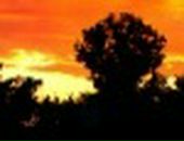 Міша Попадюк фотография #26 (источник - https://vk.com/id65527733)