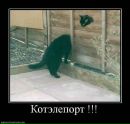 Міша Білошицький фотография #44 (источник - https://vk.com/id125383819)