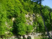 Христина Вівчарик фотография #5 (источник - https://vk.com/id56368437)