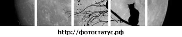 Даніель Стерваницький фотография #28 (источник - https://vk.com/id100572312)