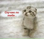 Фотография Остапчук Марины