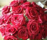 Фотография Гариповой Натальи