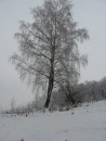 Іра Олас фотография #14 (источник - https://vk.com/id26420855)