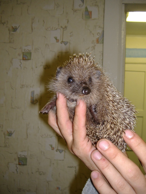 Александр Горбач фотография #13