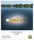Віктор Пилипчук фотография #23 (источник - https://vk.com/id79909686)