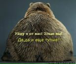 Фотография Сотник Наташа