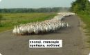 Віталій Андрійович фотография #8 (источник - https://vk.com/id173320005)