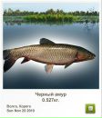 Василий Мыс фотография #30 (источник - https://vk.com/id31481818)